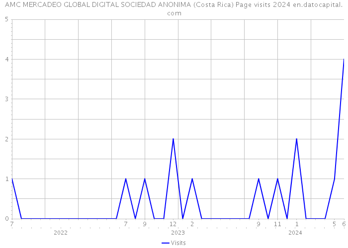AMC MERCADEO GLOBAL DIGITAL SOCIEDAD ANONIMA (Costa Rica) Page visits 2024 