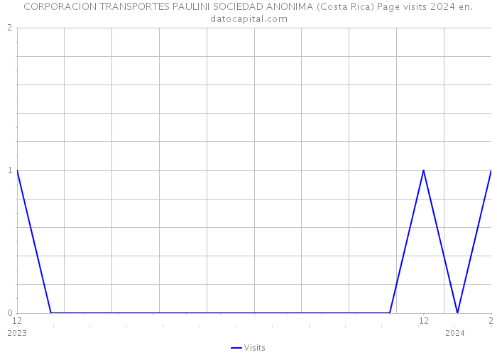 CORPORACION TRANSPORTES PAULINI SOCIEDAD ANONIMA (Costa Rica) Page visits 2024 