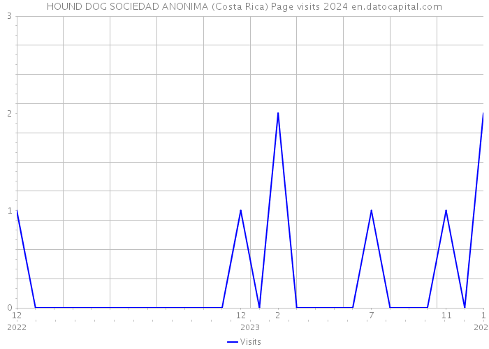 HOUND DOG SOCIEDAD ANONIMA (Costa Rica) Page visits 2024 