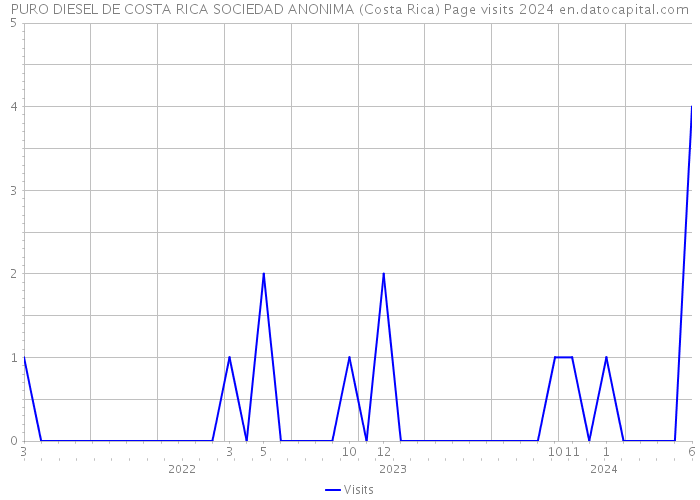 PURO DIESEL DE COSTA RICA SOCIEDAD ANONIMA (Costa Rica) Page visits 2024 