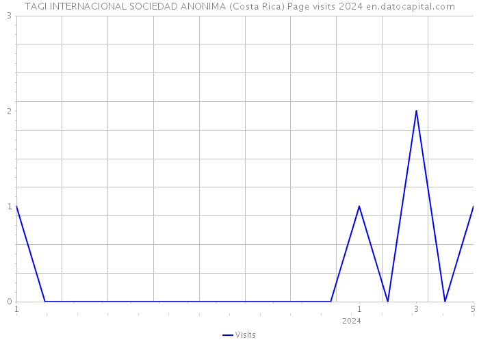 TAGI INTERNACIONAL SOCIEDAD ANONIMA (Costa Rica) Page visits 2024 