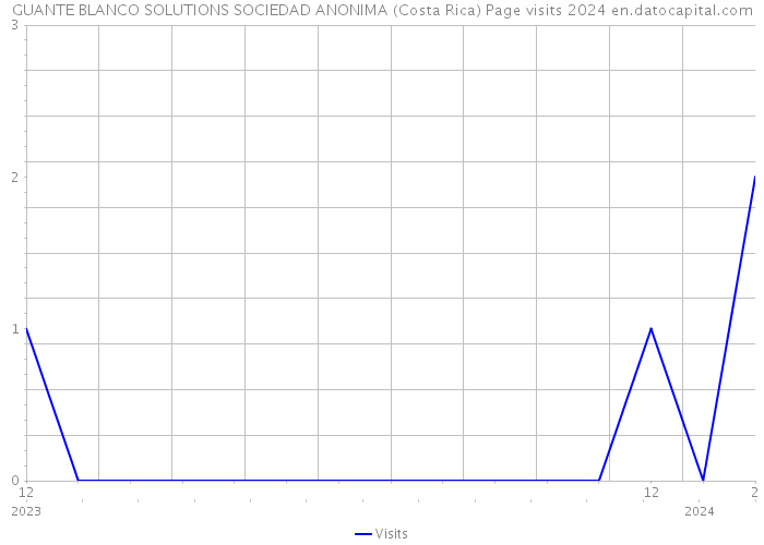 GUANTE BLANCO SOLUTIONS SOCIEDAD ANONIMA (Costa Rica) Page visits 2024 