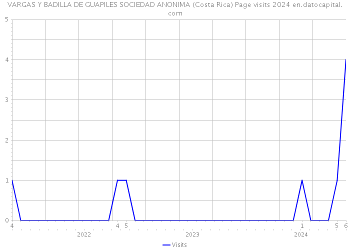VARGAS Y BADILLA DE GUAPILES SOCIEDAD ANONIMA (Costa Rica) Page visits 2024 