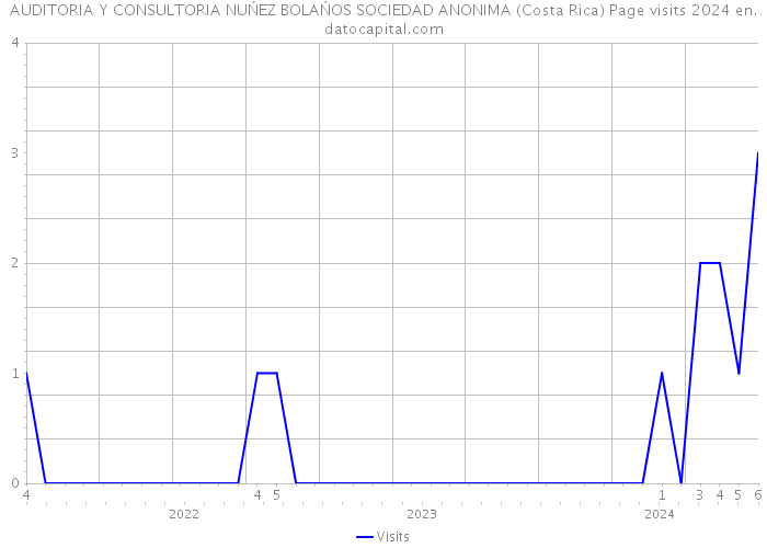 AUDITORIA Y CONSULTORIA NUŃEZ BOLAŃOS SOCIEDAD ANONIMA (Costa Rica) Page visits 2024 