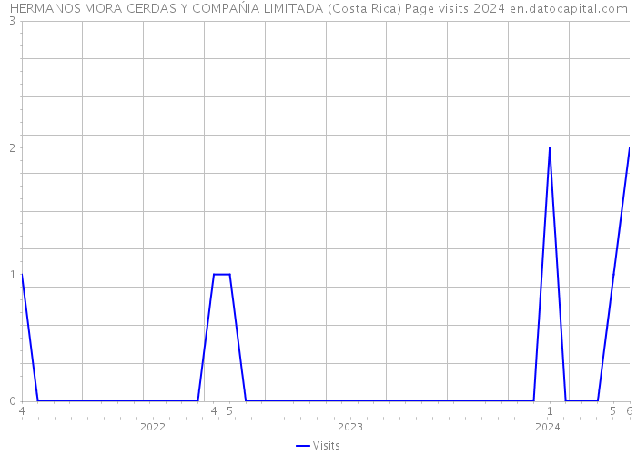 HERMANOS MORA CERDAS Y COMPAŃIA LIMITADA (Costa Rica) Page visits 2024 