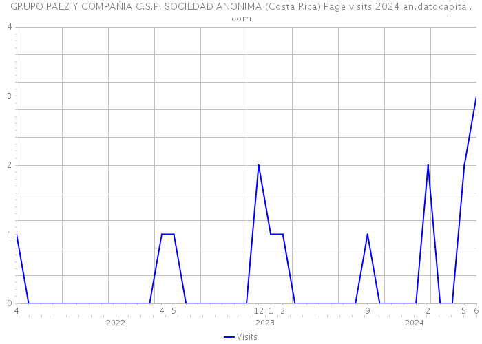 GRUPO PAEZ Y COMPAŃIA C.S.P. SOCIEDAD ANONIMA (Costa Rica) Page visits 2024 