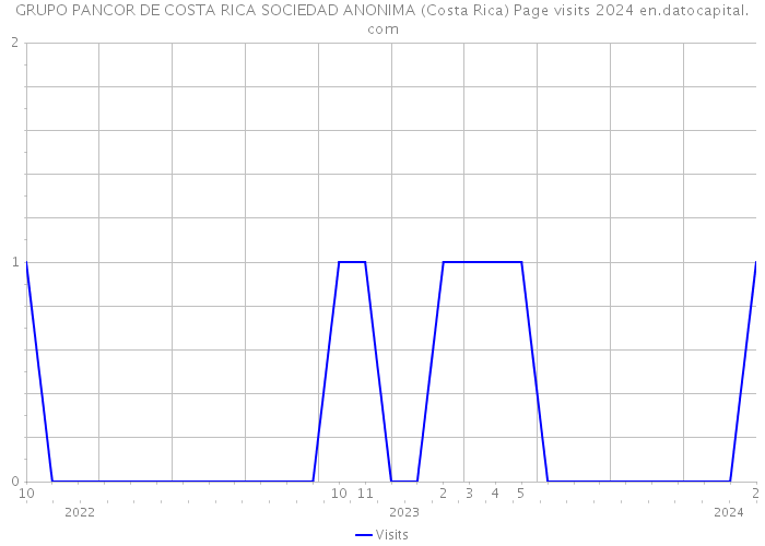 GRUPO PANCOR DE COSTA RICA SOCIEDAD ANONIMA (Costa Rica) Page visits 2024 