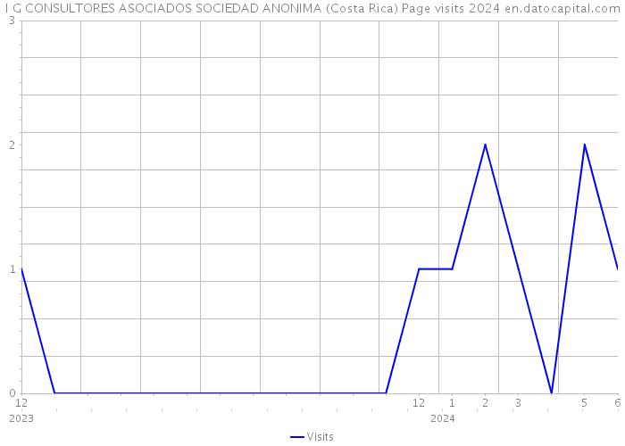 I G CONSULTORES ASOCIADOS SOCIEDAD ANONIMA (Costa Rica) Page visits 2024 