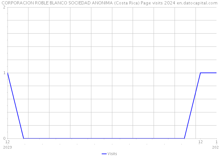 CORPORACION ROBLE BLANCO SOCIEDAD ANONIMA (Costa Rica) Page visits 2024 