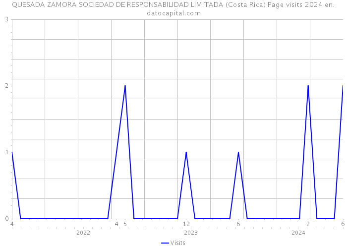 QUESADA ZAMORA SOCIEDAD DE RESPONSABILIDAD LIMITADA (Costa Rica) Page visits 2024 