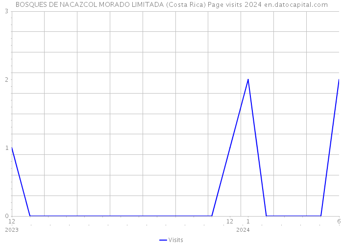 BOSQUES DE NACAZCOL MORADO LIMITADA (Costa Rica) Page visits 2024 