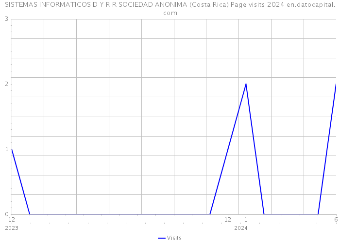 SISTEMAS INFORMATICOS D Y R R SOCIEDAD ANONIMA (Costa Rica) Page visits 2024 