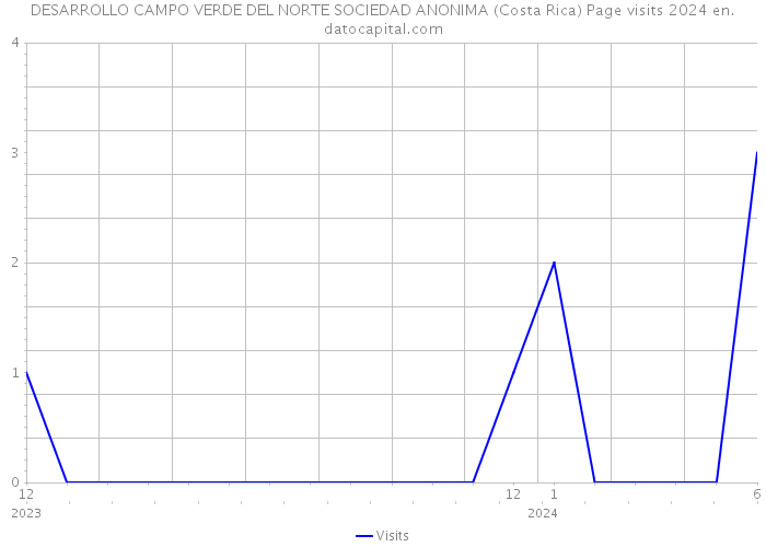 DESARROLLO CAMPO VERDE DEL NORTE SOCIEDAD ANONIMA (Costa Rica) Page visits 2024 