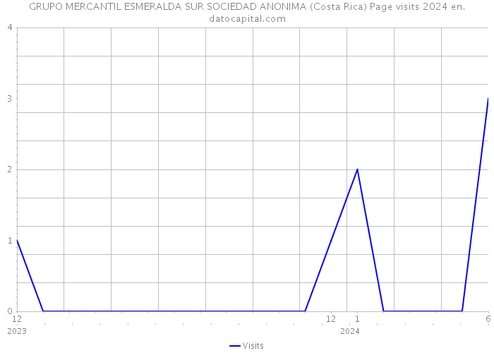 GRUPO MERCANTIL ESMERALDA SUR SOCIEDAD ANONIMA (Costa Rica) Page visits 2024 