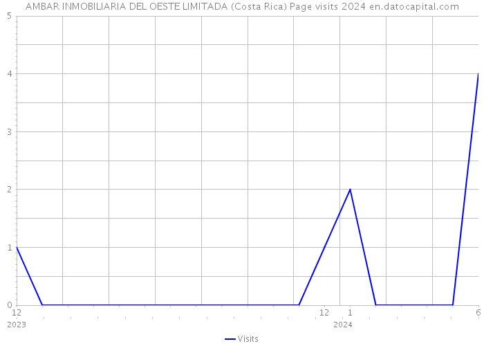 AMBAR INMOBILIARIA DEL OESTE LIMITADA (Costa Rica) Page visits 2024 