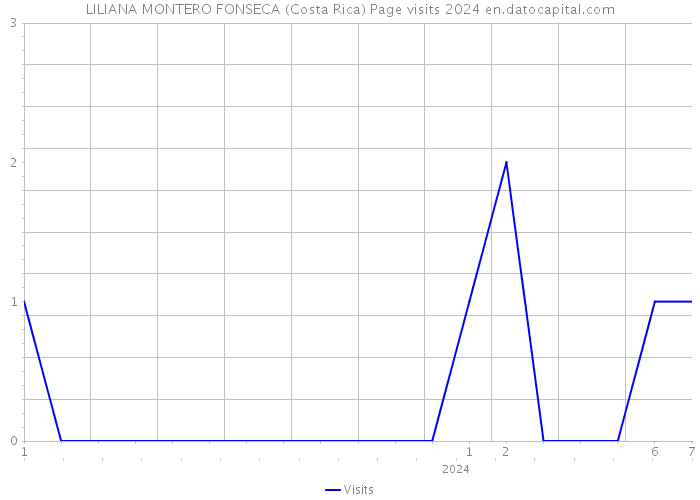 LILIANA MONTERO FONSECA (Costa Rica) Page visits 2024 
