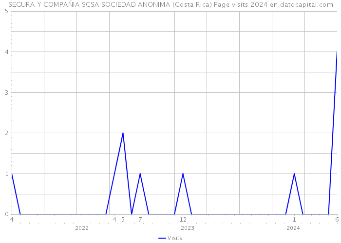 SEGURA Y COMPAŃIA SCSA SOCIEDAD ANONIMA (Costa Rica) Page visits 2024 