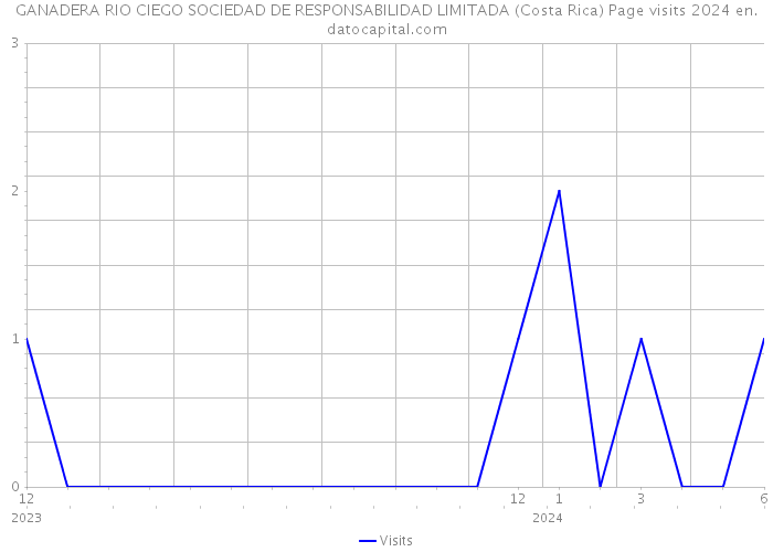 GANADERA RIO CIEGO SOCIEDAD DE RESPONSABILIDAD LIMITADA (Costa Rica) Page visits 2024 