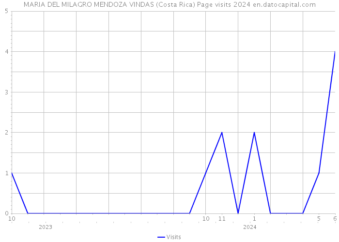 MARIA DEL MILAGRO MENDOZA VINDAS (Costa Rica) Page visits 2024 