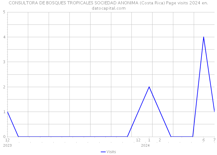 CONSULTORA DE BOSQUES TROPICALES SOCIEDAD ANONIMA (Costa Rica) Page visits 2024 