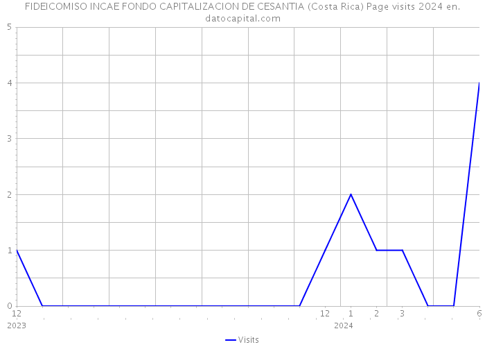 FIDEICOMISO INCAE FONDO CAPITALIZACION DE CESANTIA (Costa Rica) Page visits 2024 