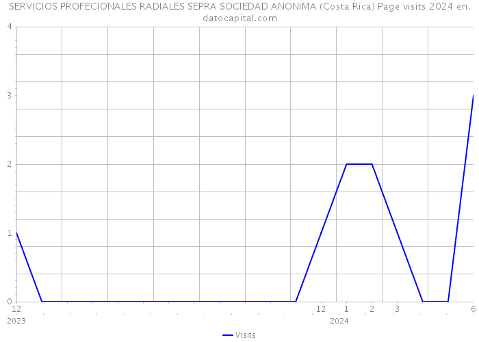 SERVICIOS PROFECIONALES RADIALES SEPRA SOCIEDAD ANONIMA (Costa Rica) Page visits 2024 