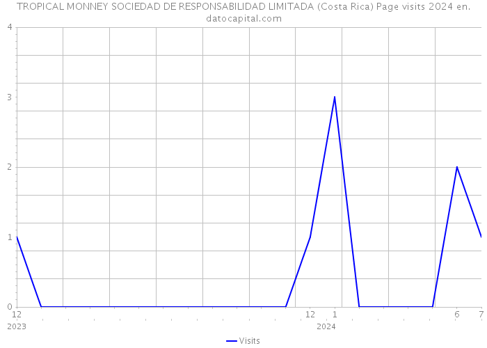 TROPICAL MONNEY SOCIEDAD DE RESPONSABILIDAD LIMITADA (Costa Rica) Page visits 2024 