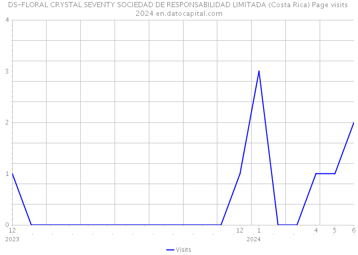 DS-FLORAL CRYSTAL SEVENTY SOCIEDAD DE RESPONSABILIDAD LIMITADA (Costa Rica) Page visits 2024 