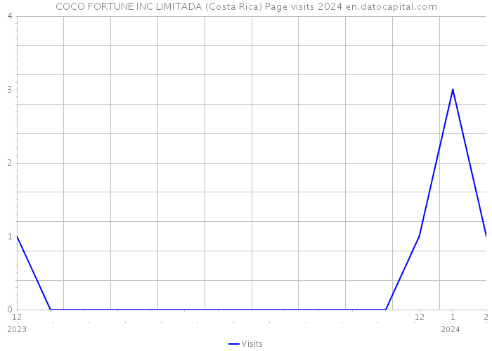 COCO FORTUNE INC LIMITADA (Costa Rica) Page visits 2024 