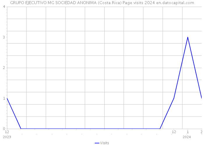 GRUPO EJECUTIVO MG SOCIEDAD ANONIMA (Costa Rica) Page visits 2024 