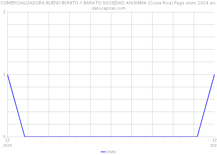 COMERCIALIZADORA BUENO BONITO Y BARATO SOCIEDAD ANONIMA (Costa Rica) Page visits 2024 