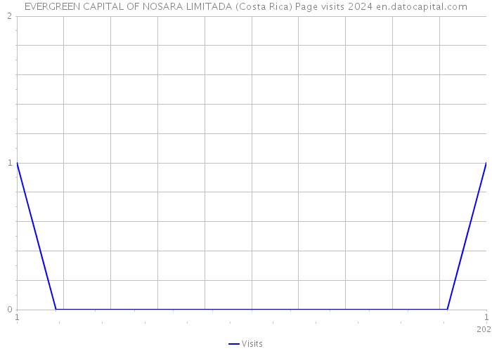 EVERGREEN CAPITAL OF NOSARA LIMITADA (Costa Rica) Page visits 2024 