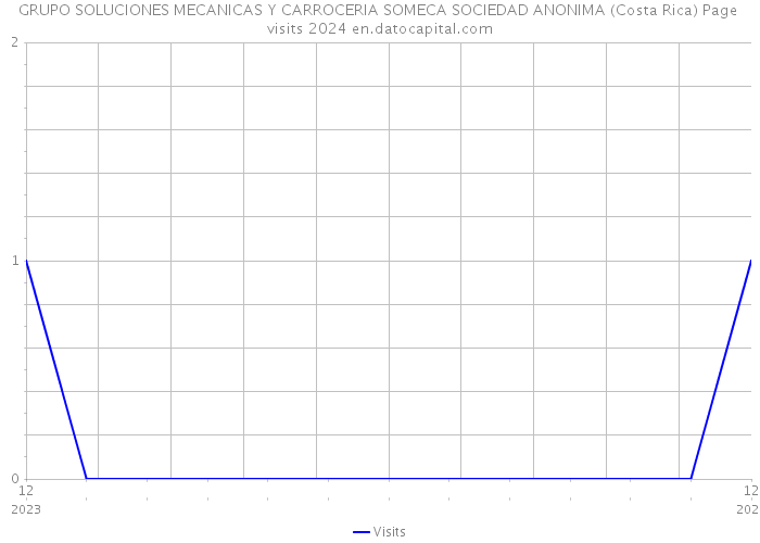 GRUPO SOLUCIONES MECANICAS Y CARROCERIA SOMECA SOCIEDAD ANONIMA (Costa Rica) Page visits 2024 