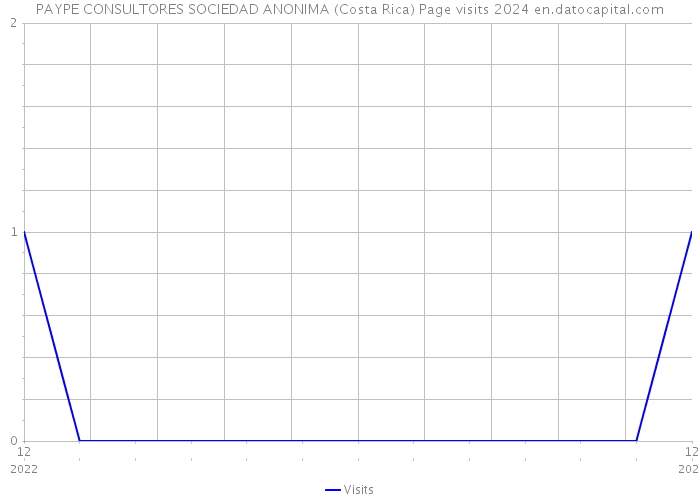 PAYPE CONSULTORES SOCIEDAD ANONIMA (Costa Rica) Page visits 2024 