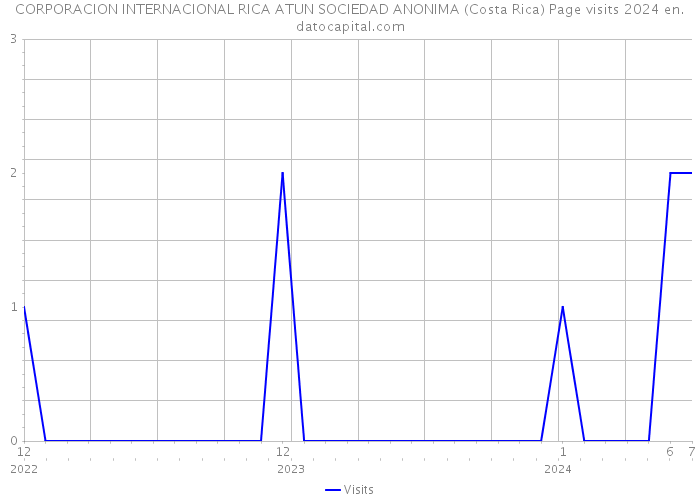 CORPORACION INTERNACIONAL RICA ATUN SOCIEDAD ANONIMA (Costa Rica) Page visits 2024 