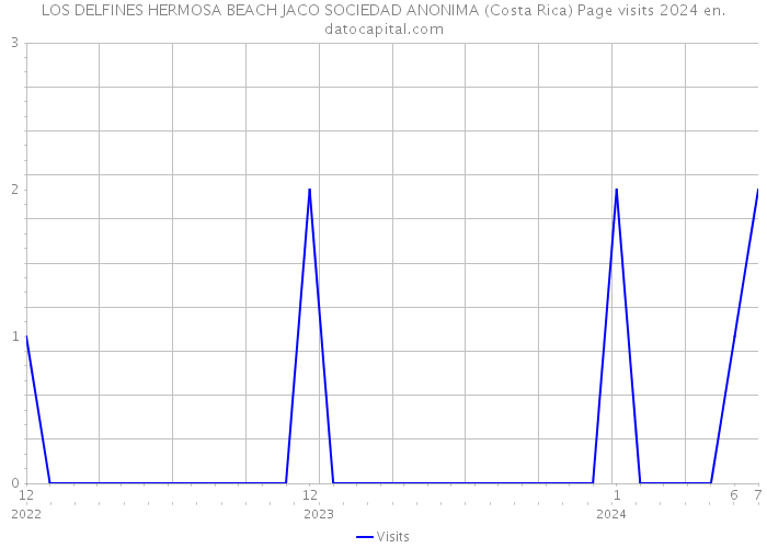 LOS DELFINES HERMOSA BEACH JACO SOCIEDAD ANONIMA (Costa Rica) Page visits 2024 
