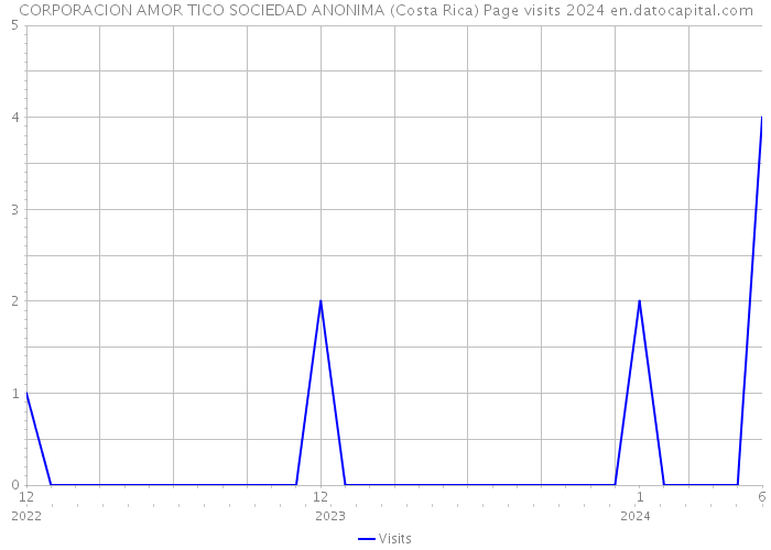 CORPORACION AMOR TICO SOCIEDAD ANONIMA (Costa Rica) Page visits 2024 