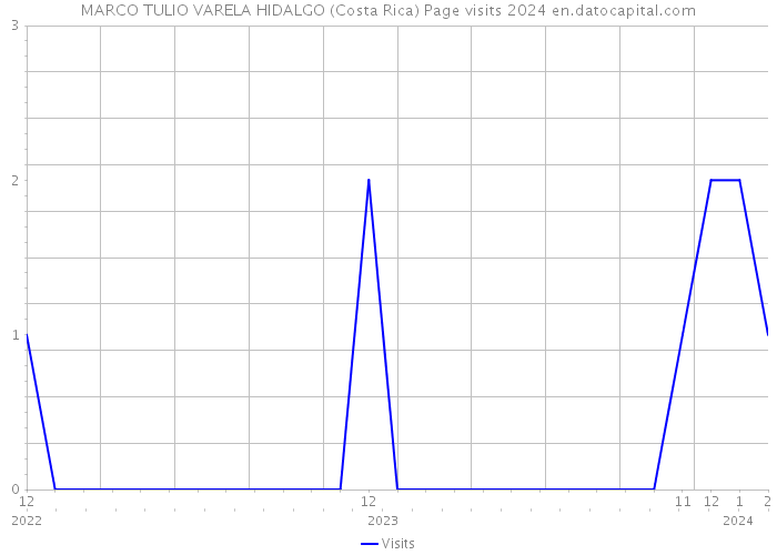 MARCO TULIO VARELA HIDALGO (Costa Rica) Page visits 2024 