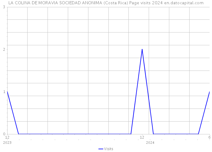 LA COLINA DE MORAVIA SOCIEDAD ANONIMA (Costa Rica) Page visits 2024 