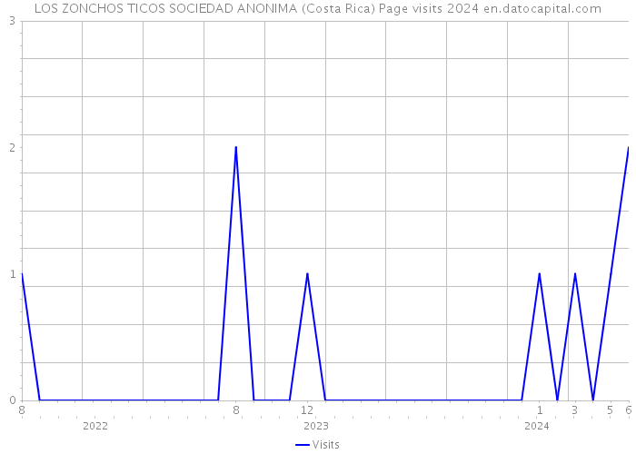 LOS ZONCHOS TICOS SOCIEDAD ANONIMA (Costa Rica) Page visits 2024 