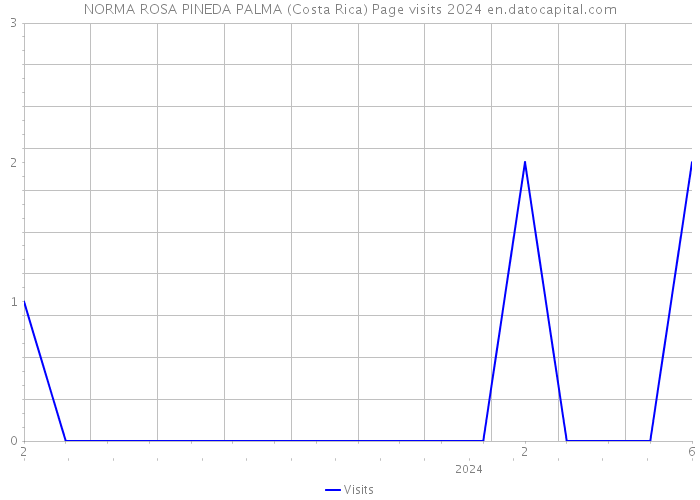 NORMA ROSA PINEDA PALMA (Costa Rica) Page visits 2024 