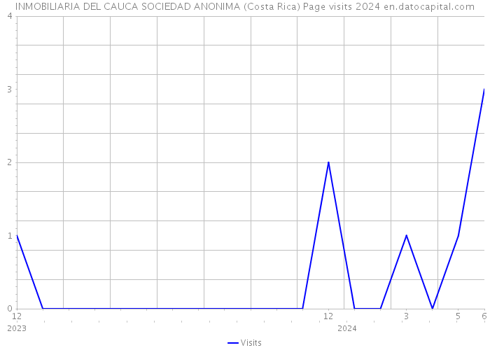 INMOBILIARIA DEL CAUCA SOCIEDAD ANONIMA (Costa Rica) Page visits 2024 