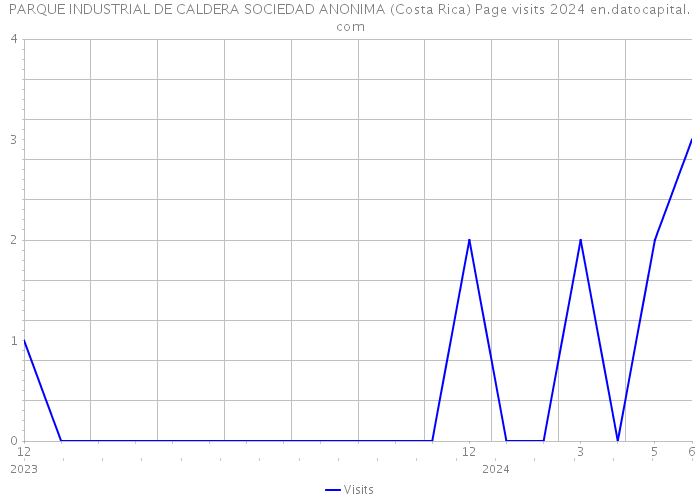 PARQUE INDUSTRIAL DE CALDERA SOCIEDAD ANONIMA (Costa Rica) Page visits 2024 
