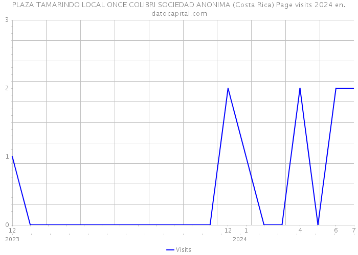 PLAZA TAMARINDO LOCAL ONCE COLIBRI SOCIEDAD ANONIMA (Costa Rica) Page visits 2024 