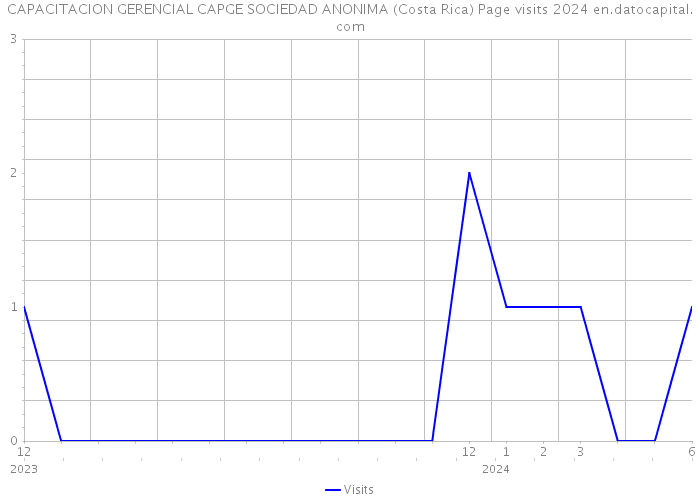CAPACITACION GERENCIAL CAPGE SOCIEDAD ANONIMA (Costa Rica) Page visits 2024 