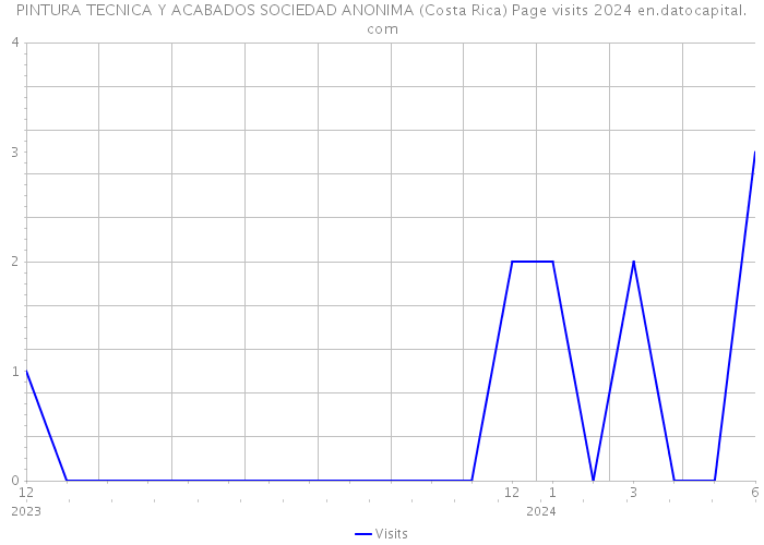 PINTURA TECNICA Y ACABADOS SOCIEDAD ANONIMA (Costa Rica) Page visits 2024 