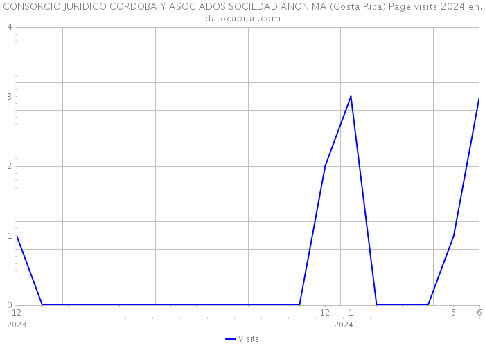 CONSORCIO JURIDICO CORDOBA Y ASOCIADOS SOCIEDAD ANONIMA (Costa Rica) Page visits 2024 
