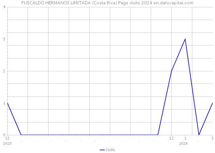 FUSCALDO HERMANOS LIMITADA (Costa Rica) Page visits 2024 