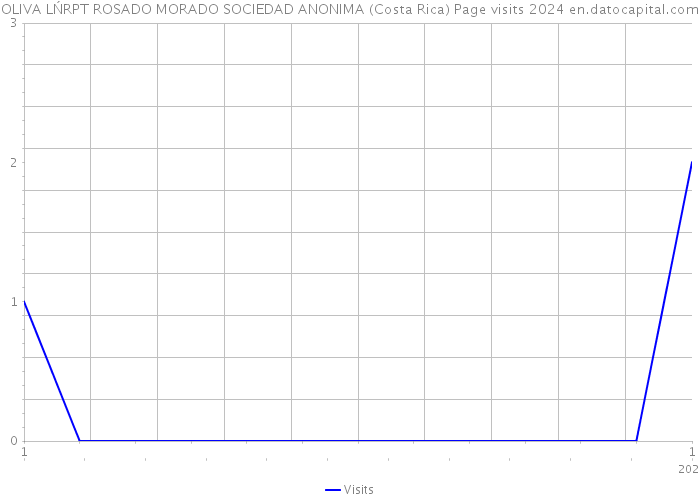 OLIVA LŃRPT ROSADO MORADO SOCIEDAD ANONIMA (Costa Rica) Page visits 2024 