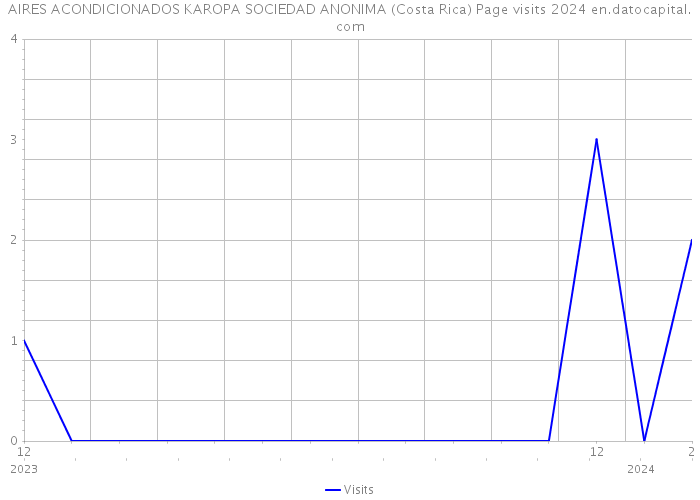 AIRES ACONDICIONADOS KAROPA SOCIEDAD ANONIMA (Costa Rica) Page visits 2024 